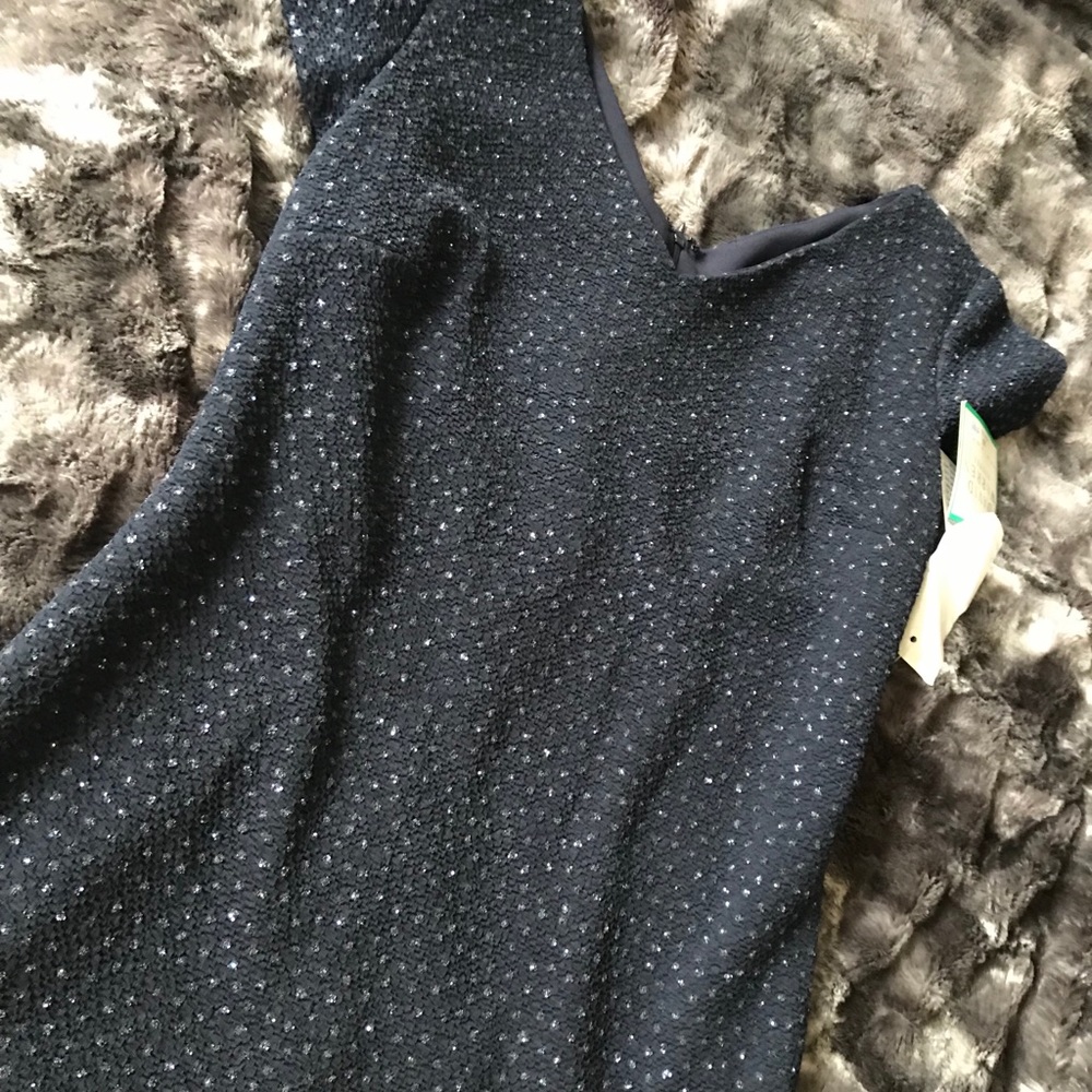 Sparkle Cocktail Dress